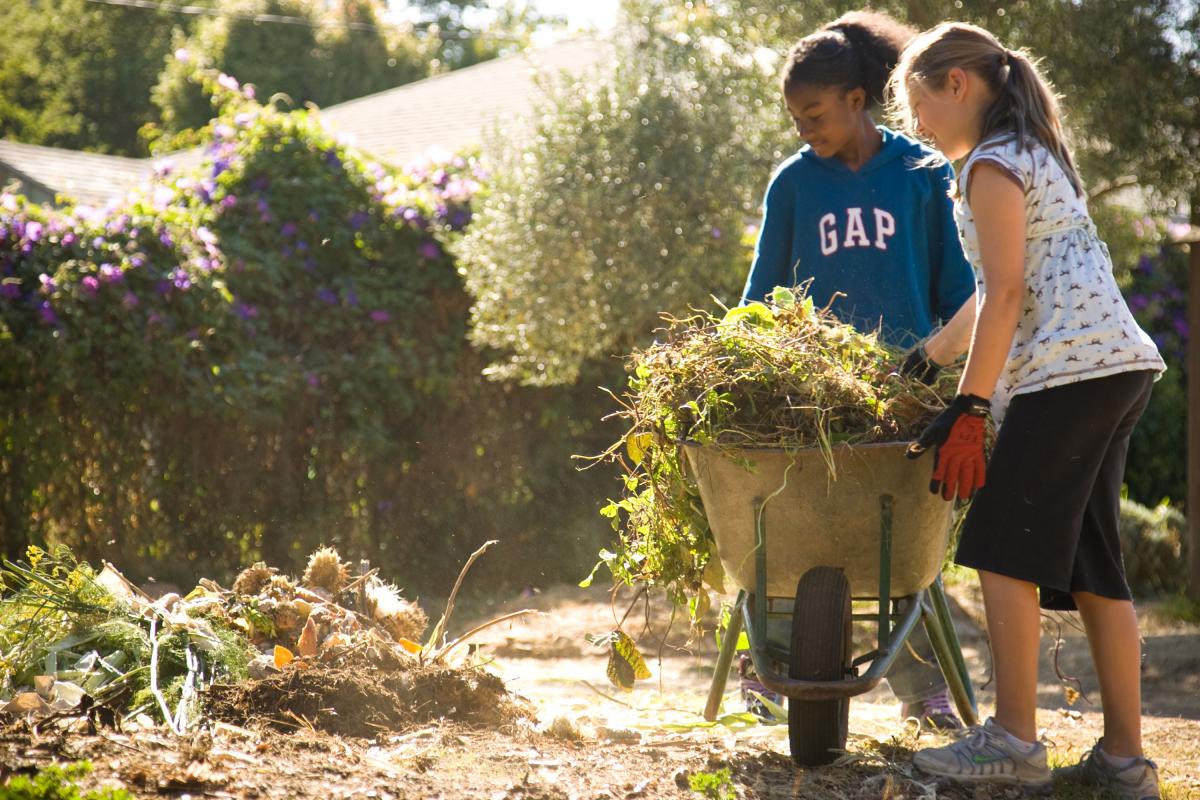 School Garden 